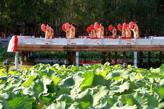 灵丘北泉十一届荷花节将于7月17日开幕_山水_文化_泉村