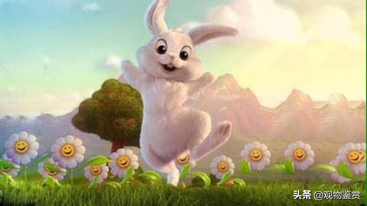 兔子跳跳跳简谱图片图片