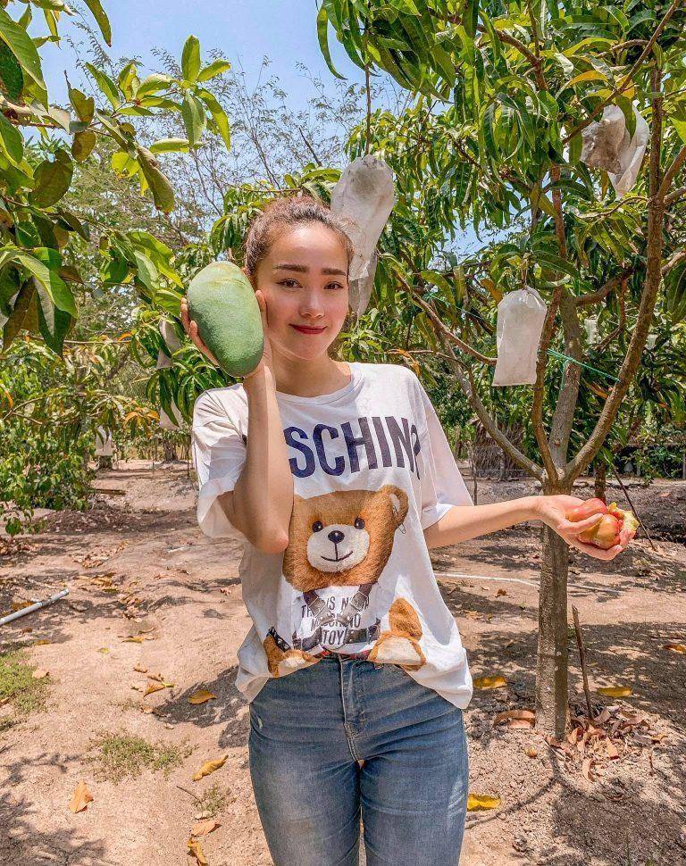 原创女演员种植占地50公顷的农场农产品都是有机种植的美味又干净