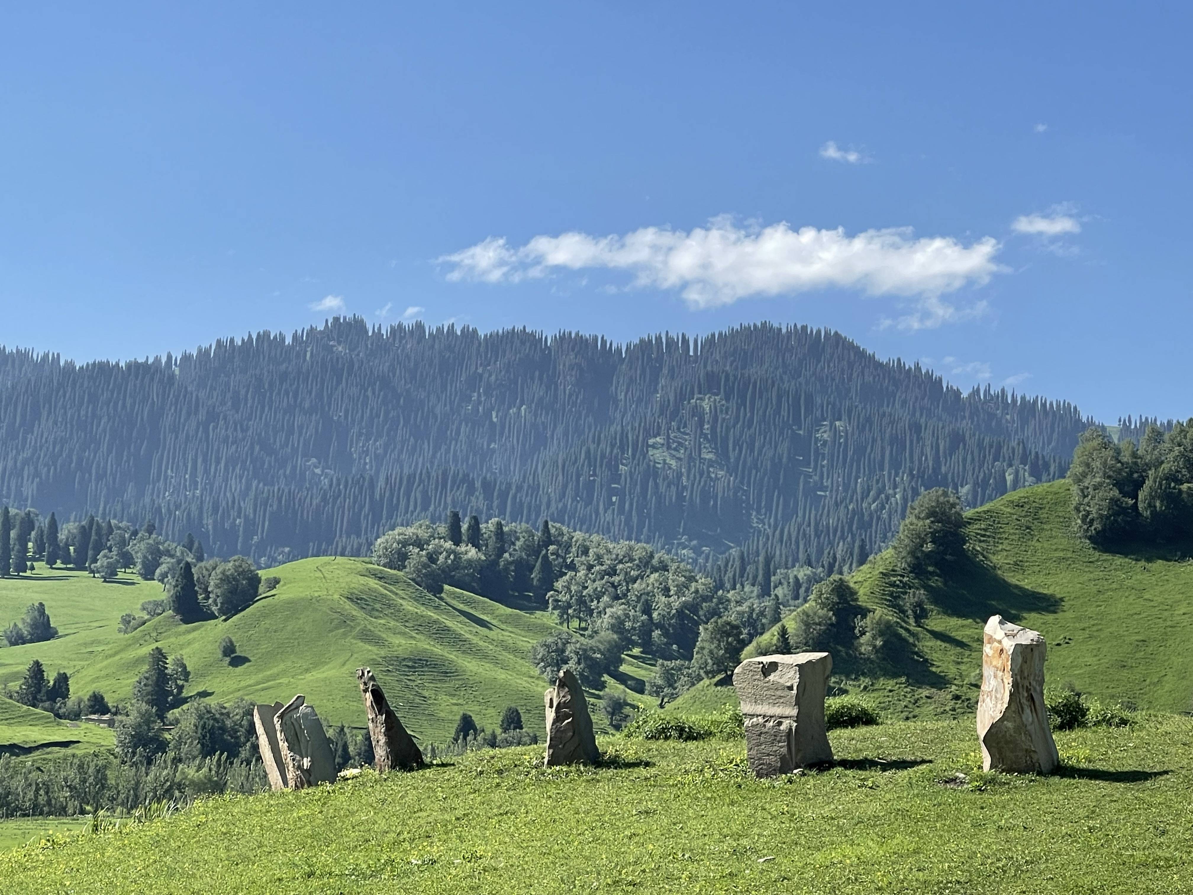 原创新疆美景太迷人在那拉提河谷草原河水伴随草原森林是大自然的仙境