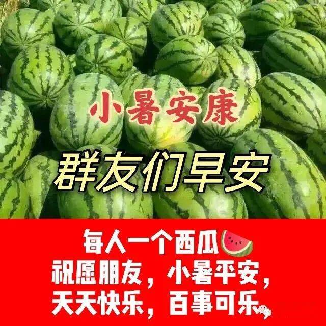 暑天早上好图片带字图片