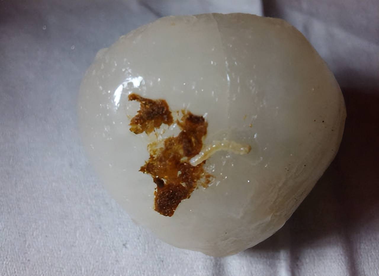 原创原来我们一直都在吃荔枝虫子荔枝蒂部的黑色物质千万不要轻视