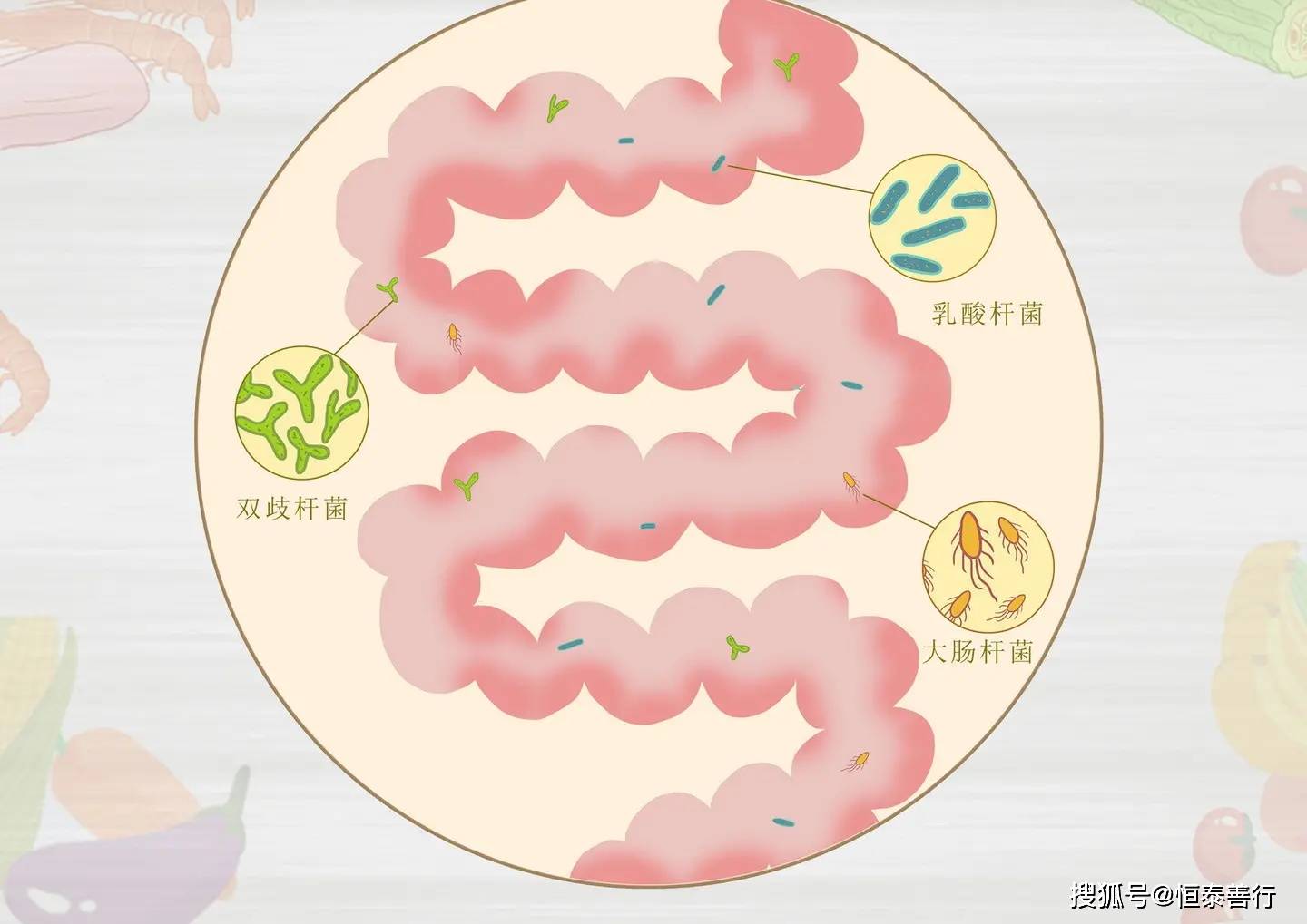 同时,肠道菌群也可以作为肿瘤发生