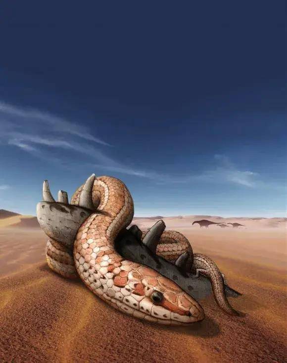 原创多亏了恐龙灭绝你才能养玉米蛇