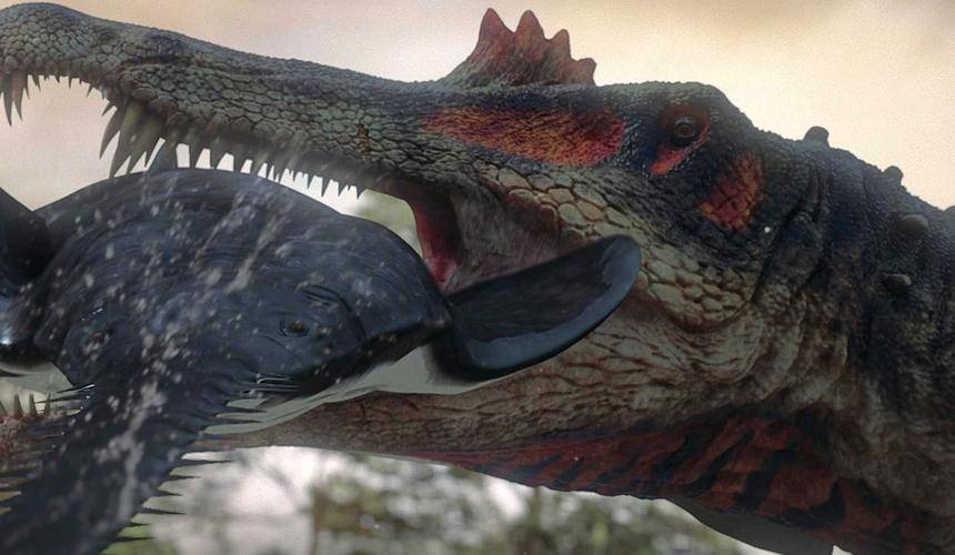 另外,它的身上还有一个白垩纪的其他恐龙所不具备的特征—游泳,棘龙