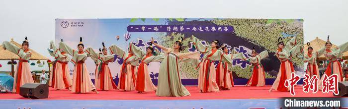 新疆博湖县睡莲花开助力第一届莲花旅游季
