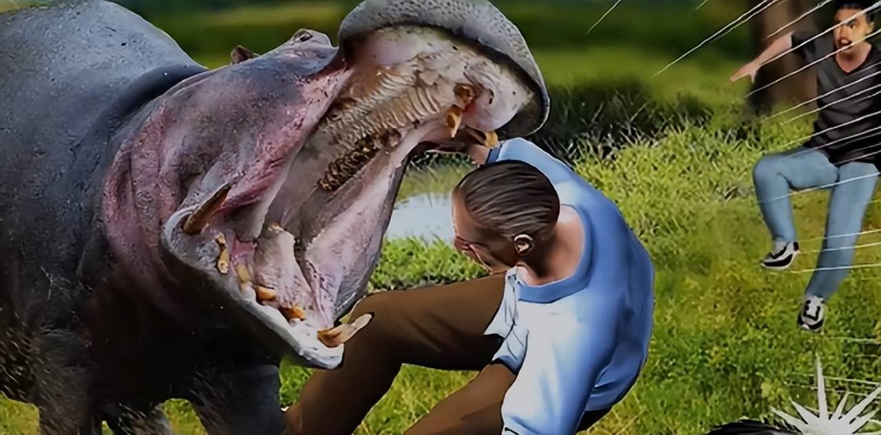 原创危险的河马尼罗鳄的死亡翻滚对它没用连粪便都很致命