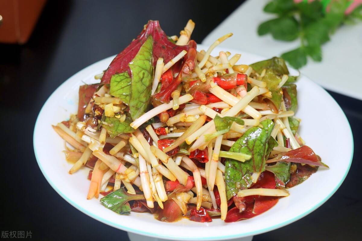 吃一次就会爱上的30道特色凉拌菜简单开胃最适合炎热的夏天