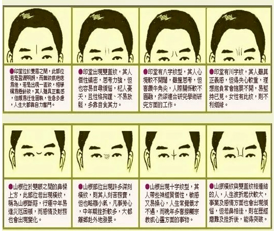 麻衣神相23种眉毛图片图片