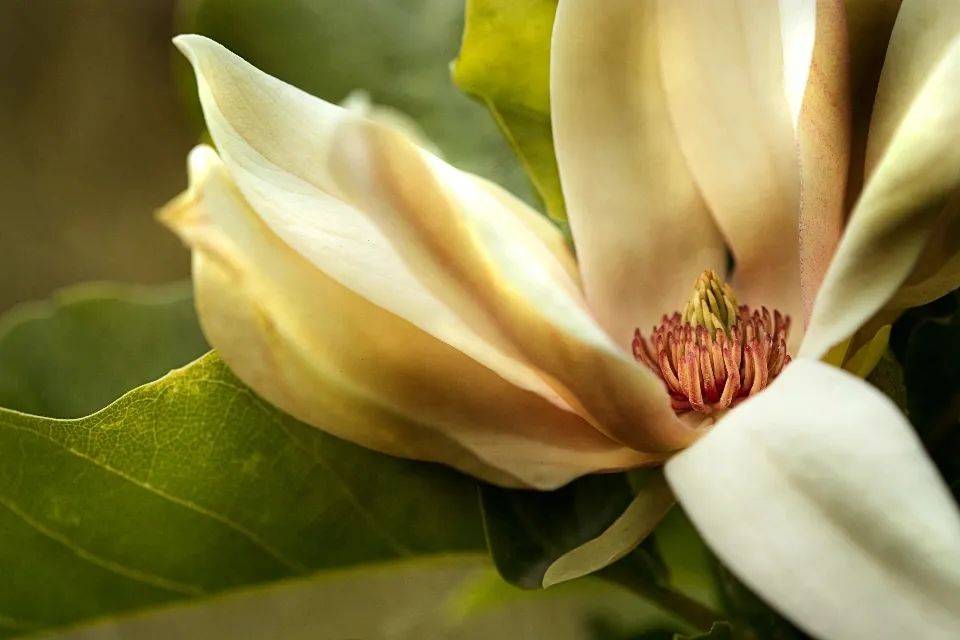 618因价格被行政处罚,火星人集成灶掉进行业内卷通道-家电圈官网