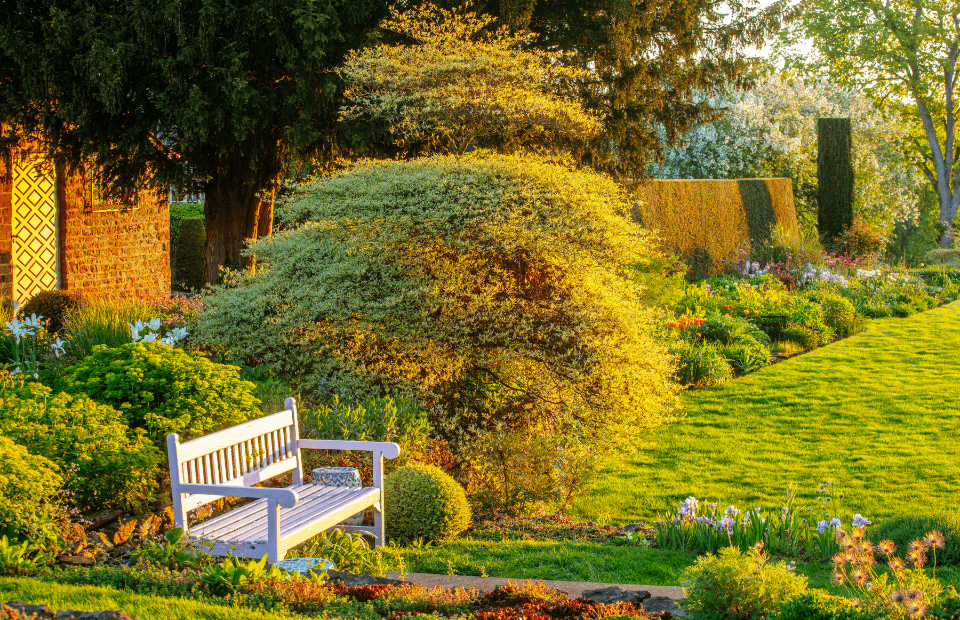 英式乡村花园—pettifers garden,一年四季都很美_植物_种植_gina