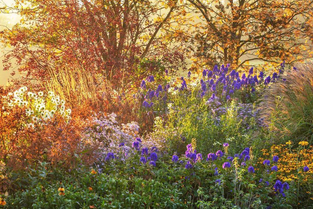 wiley的私人花园:wildside↓比如英国著名私家花园:四季花园↓也涌现