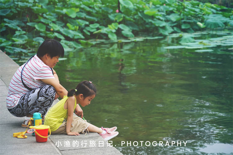 这座泡在泉水里的省会城市，低调且优雅！满城美景，来了就难忘记