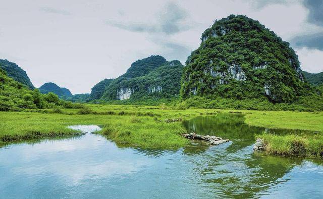 属牛旺财山水风景图片图片