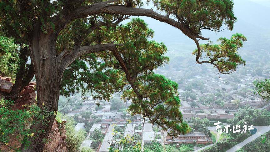 返鄉駐足美好旅途青木山社