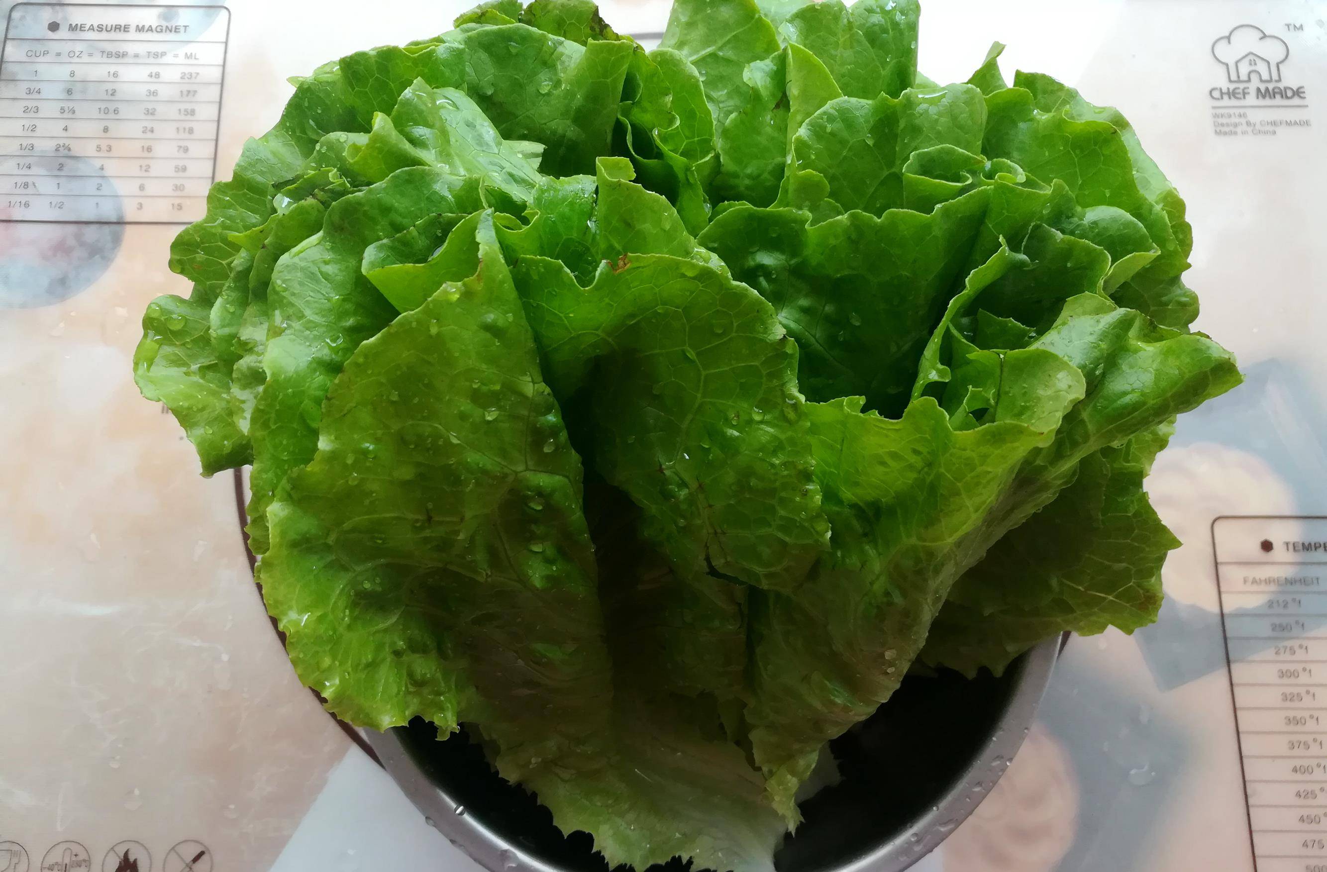 原创生菜这样做营养不流失一盘不够吃拿肉都不换的美味