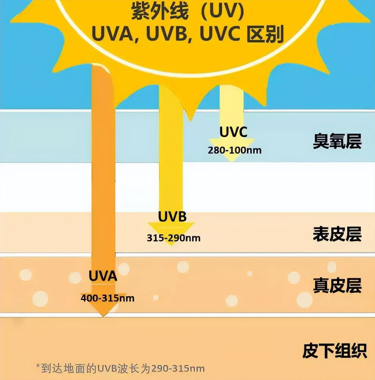 防晒衣避雷指南,那种几十块钱的防晒衣真的能防晒么?