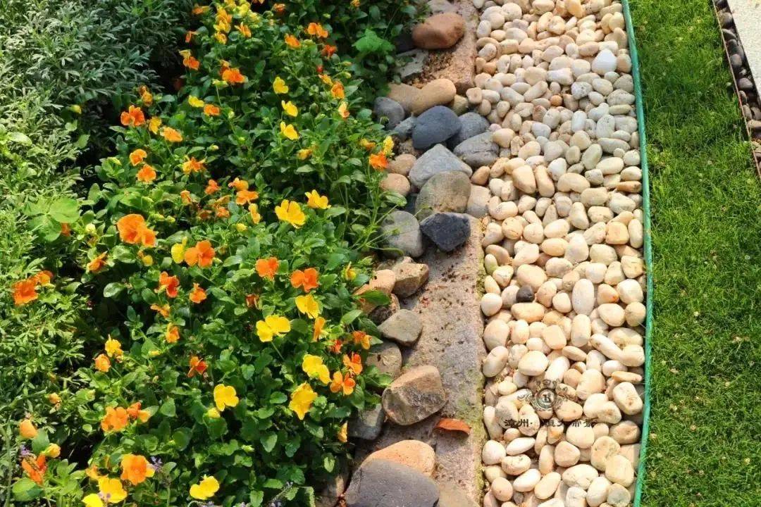 随处可见的鹅卵石用的好,在庭院里也可以美出花来_石头_植物_效果