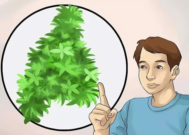 庭院美化！这15个树下景观打造创意满开云体育 开云平台满！附种植方法(图20)