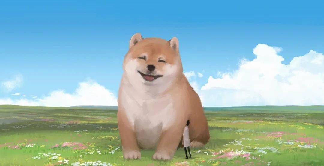 当萌萌哒动物巨大化之后,给你一个巨大的拥抱_肚子_萌物_猫咪