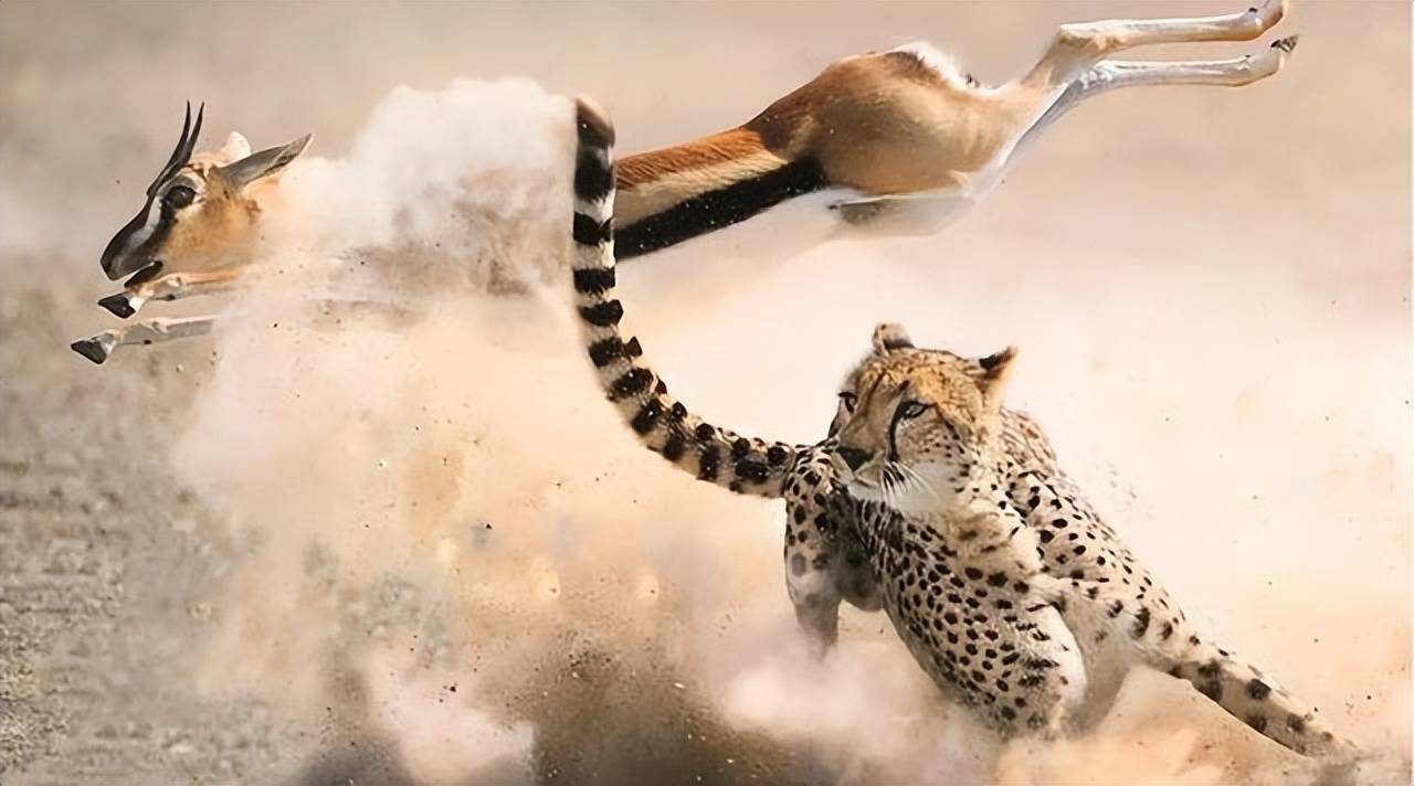 如果将天敌关系放大到生物种群当中的种间关系,它既可能是捕食关系,也