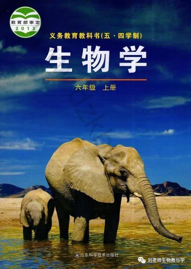 鲁科版六年级上册生物电子课本教材五四制高清pdf版