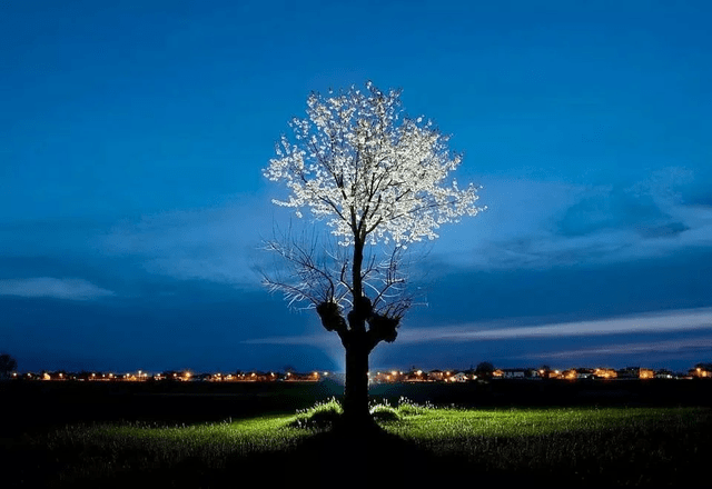 神秘的地方，连科学家都无法解释的秘密