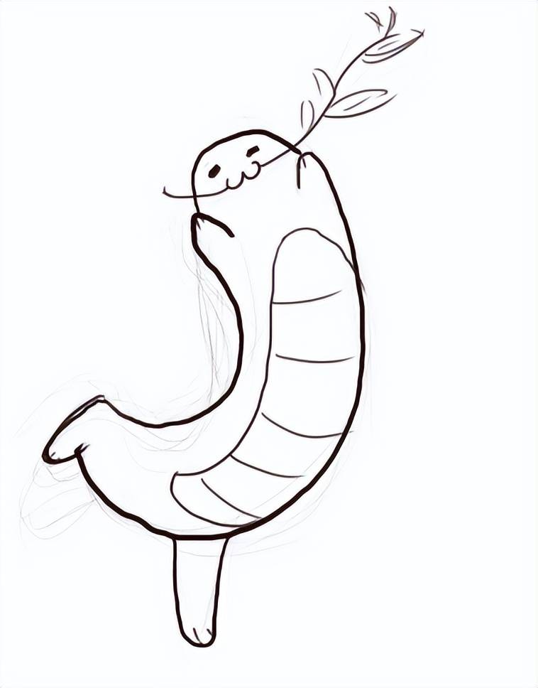 至今分类不明,这本来是一种严肃恐怖的生物,但大神herpetogaster2