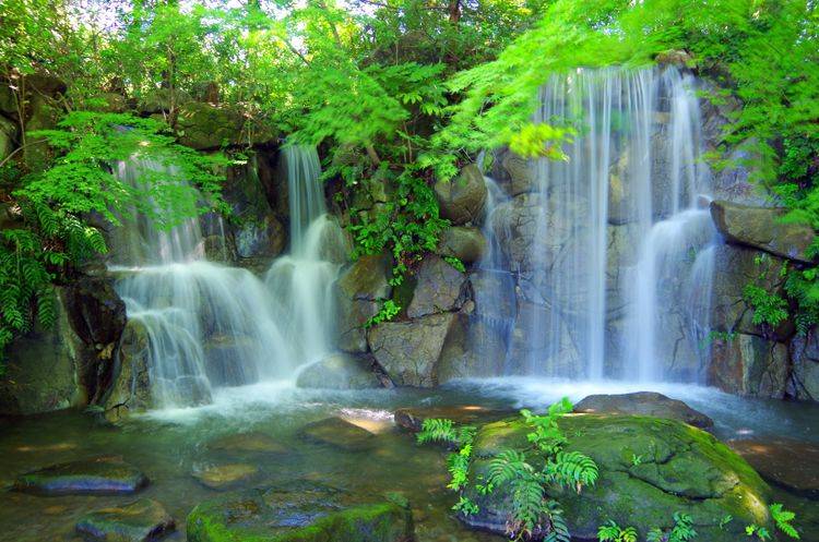 属牛旺财山水风景图片图片