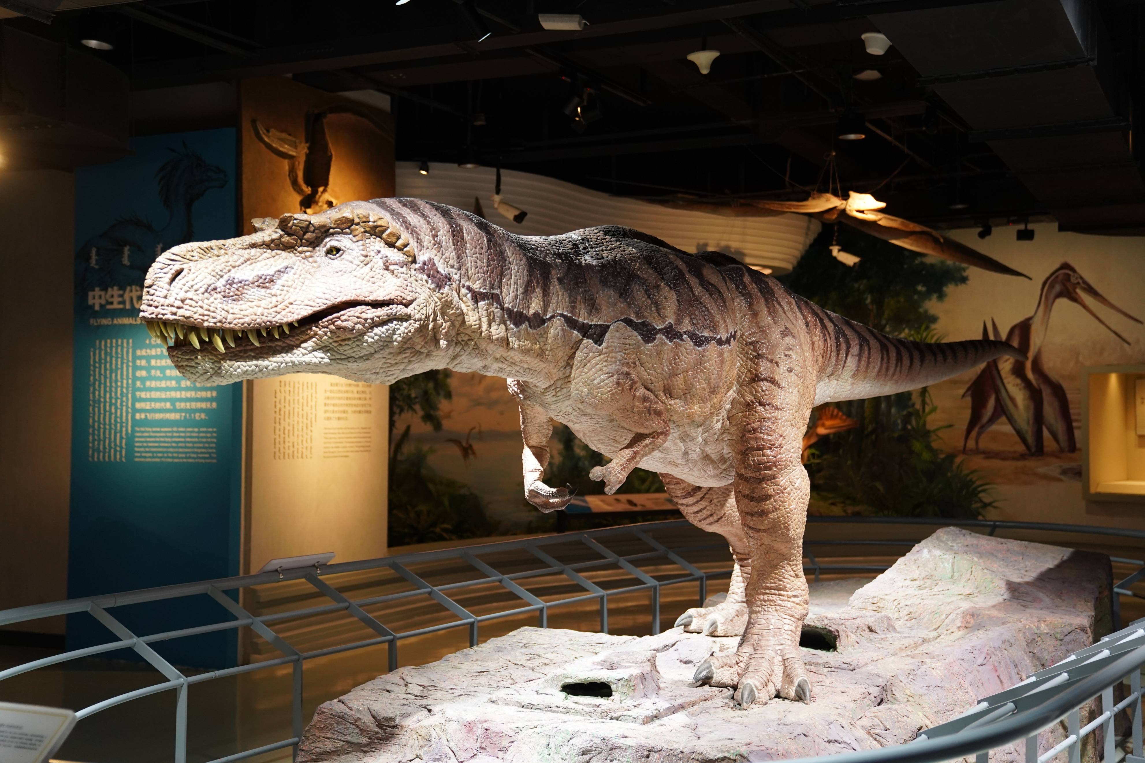 恐龙脱口秀孤独的猎食者奥氏独龙