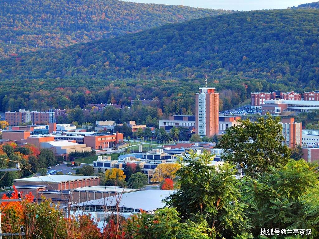 美国一所大学将旧CD 制成可穿戴生物传感器成本约1.5美元_搜狐网