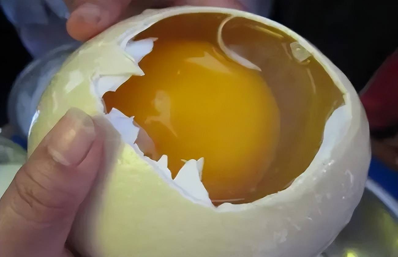 世界上最大的蛋,除了吃居然还能拿来做这个_蛋壳_鸵鸟_蛋类