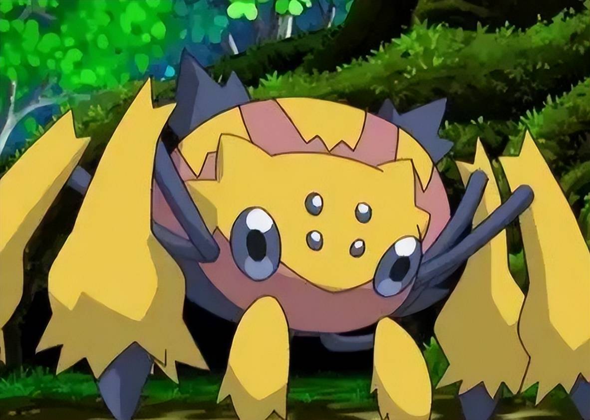 宝可梦复眼特性另一个成功案例对战撒网第一人电蜘蛛