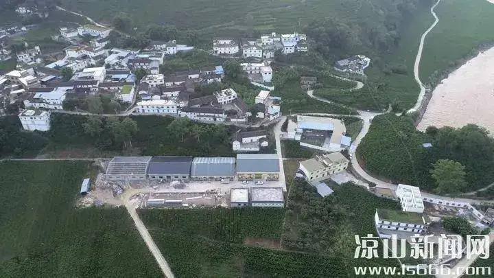 立足蚕桑产业优势，宁南大力推进蚕桑现代农业园区建设