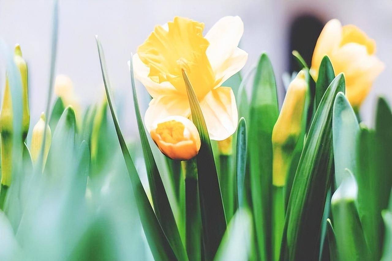 为人严谨,做事一丝不苟的星座,力求完美,不轻易妥协,能担重任