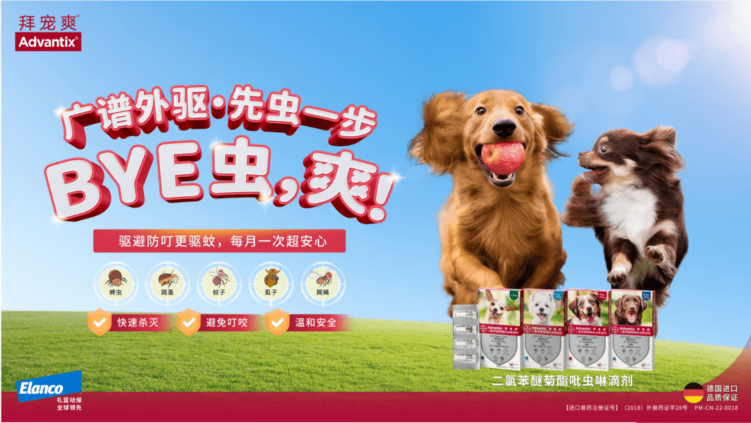 选elanco礼蓝动保,科学驱虫,温和安全守护人宠健康!