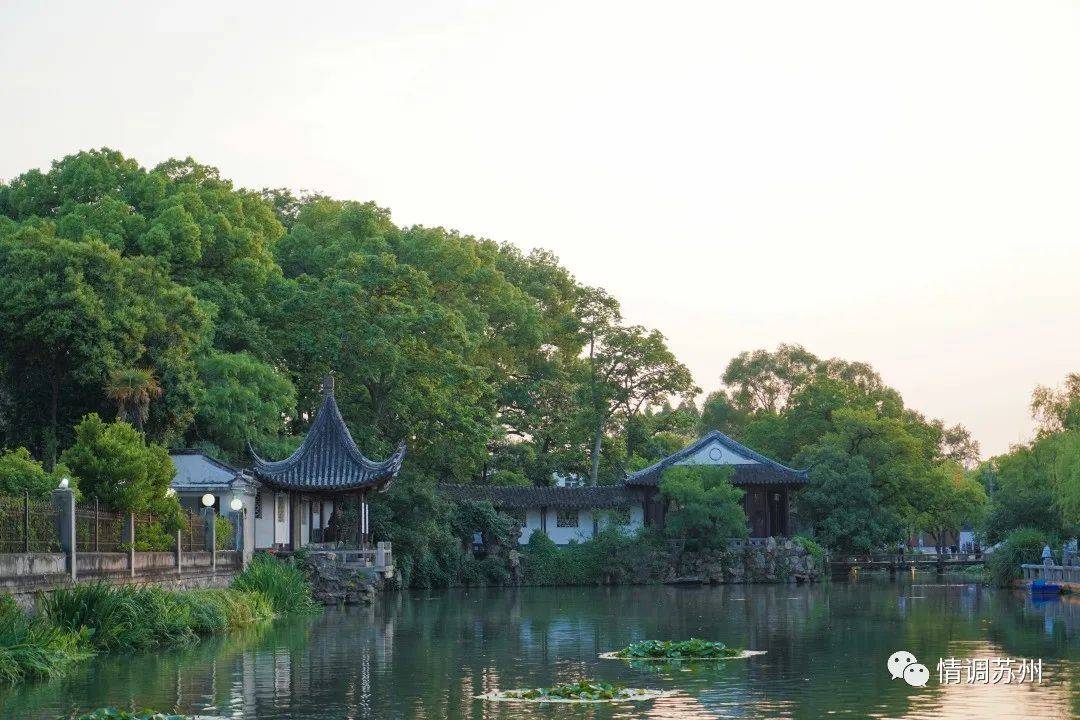 【贝壳苏州】三元坊出站,开玩!_颜文梁_文庙_可园