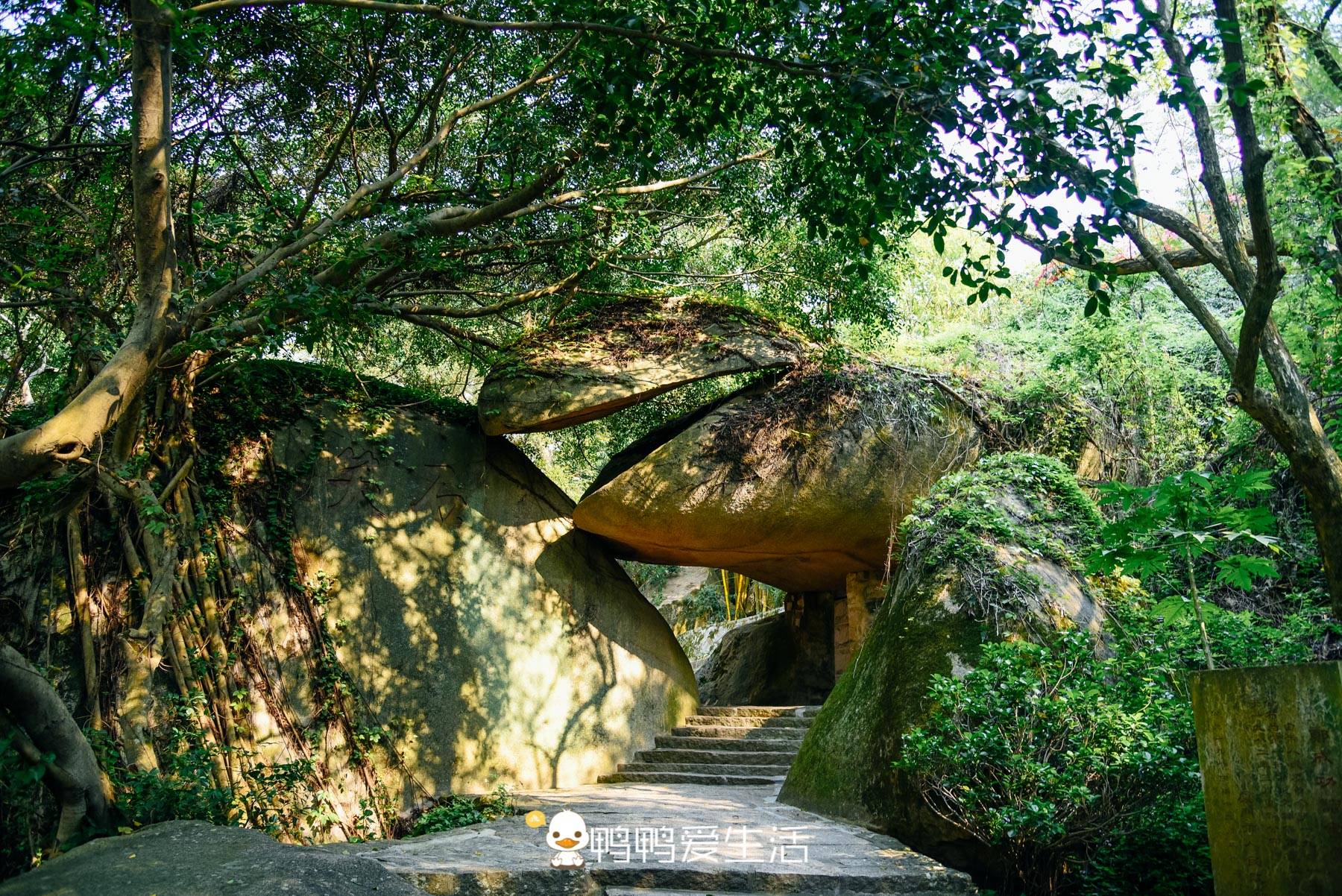 厦门网红地标内藏一清幽寺庙,石头会开口笑,送子观音像独占鳌头