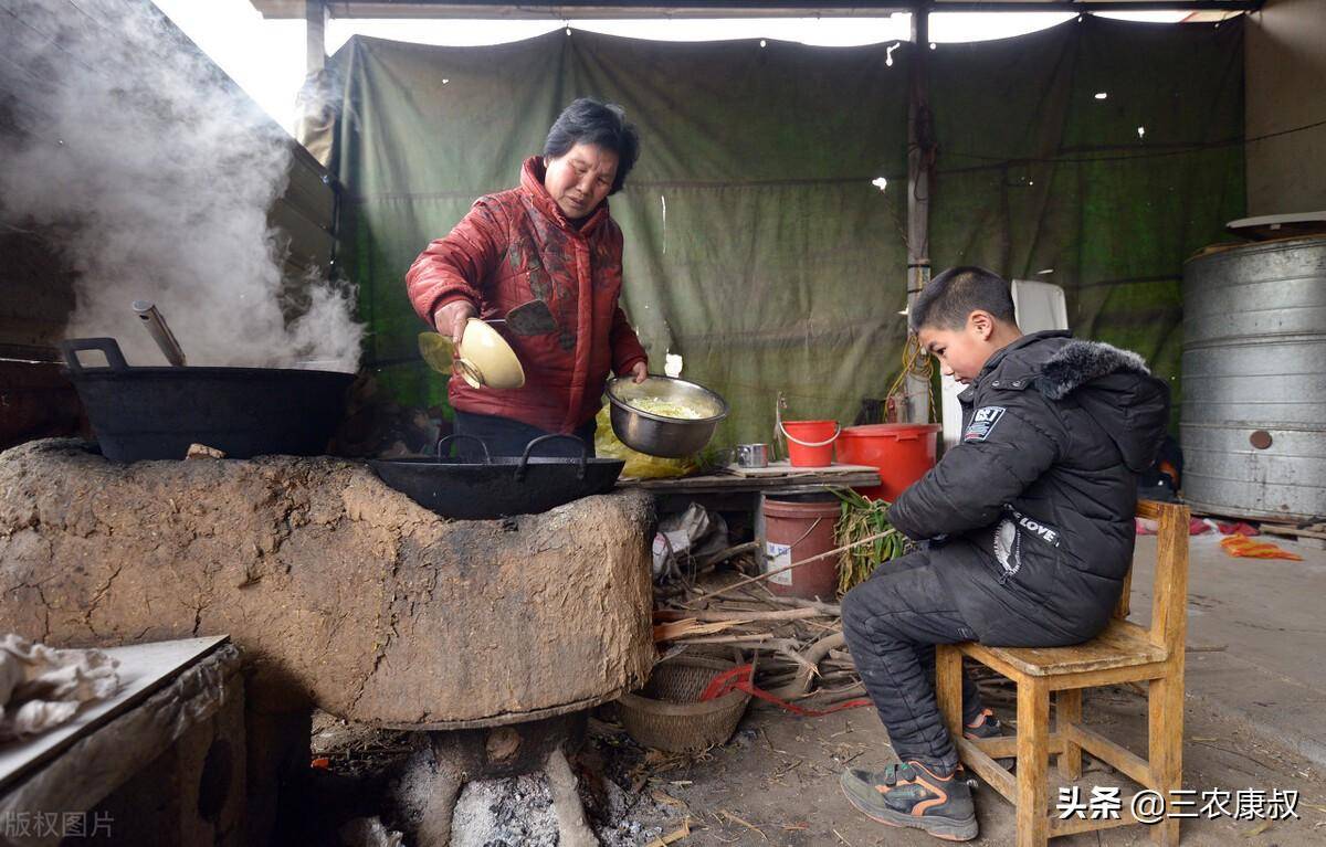 原創專家春節即將來臨建議禁止農村燒柴火做飯這些說法有道理嗎