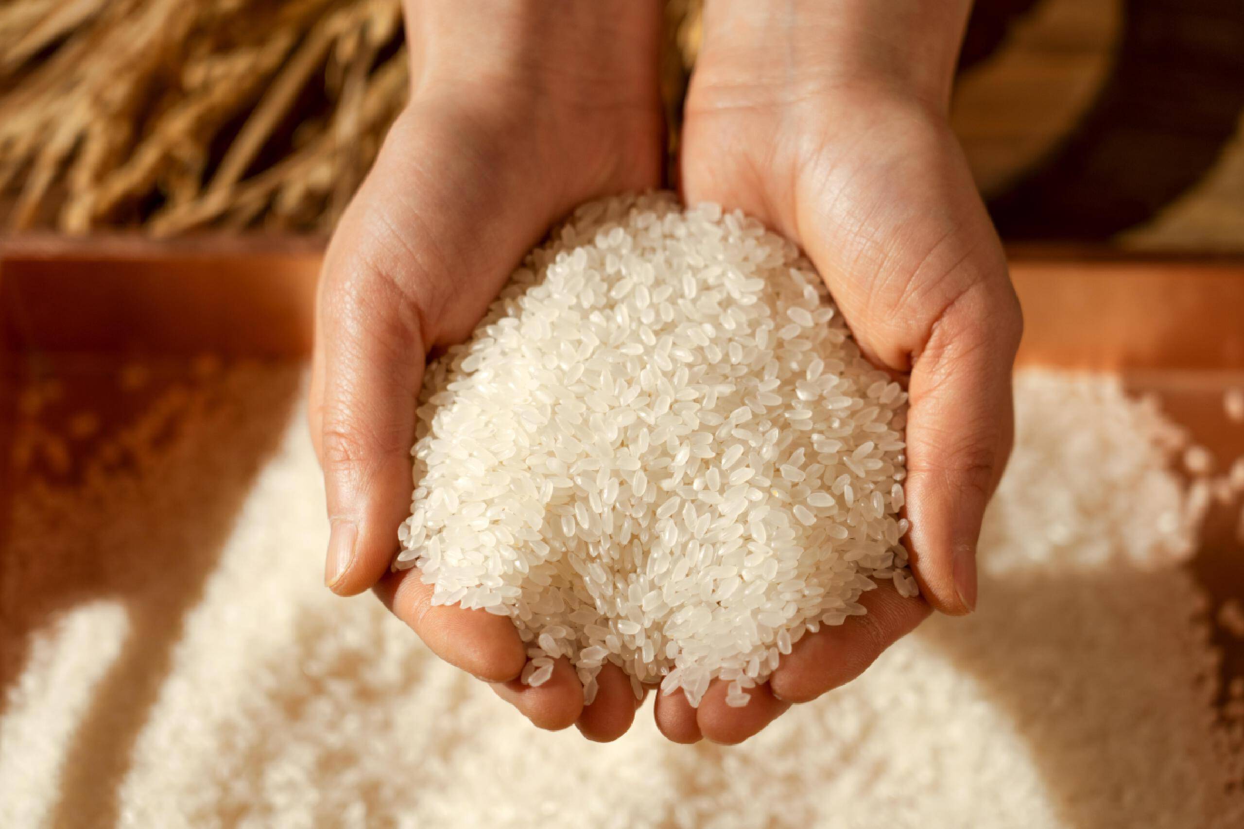 桂花香馅裹胡桃江米如珠井水淘关于五谷之首大米时间简史