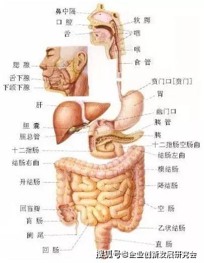 疾病查詢 穴位查詢 海量視頻 學習網站呃遺疝氣少腹腫腰痛胸滿便不利