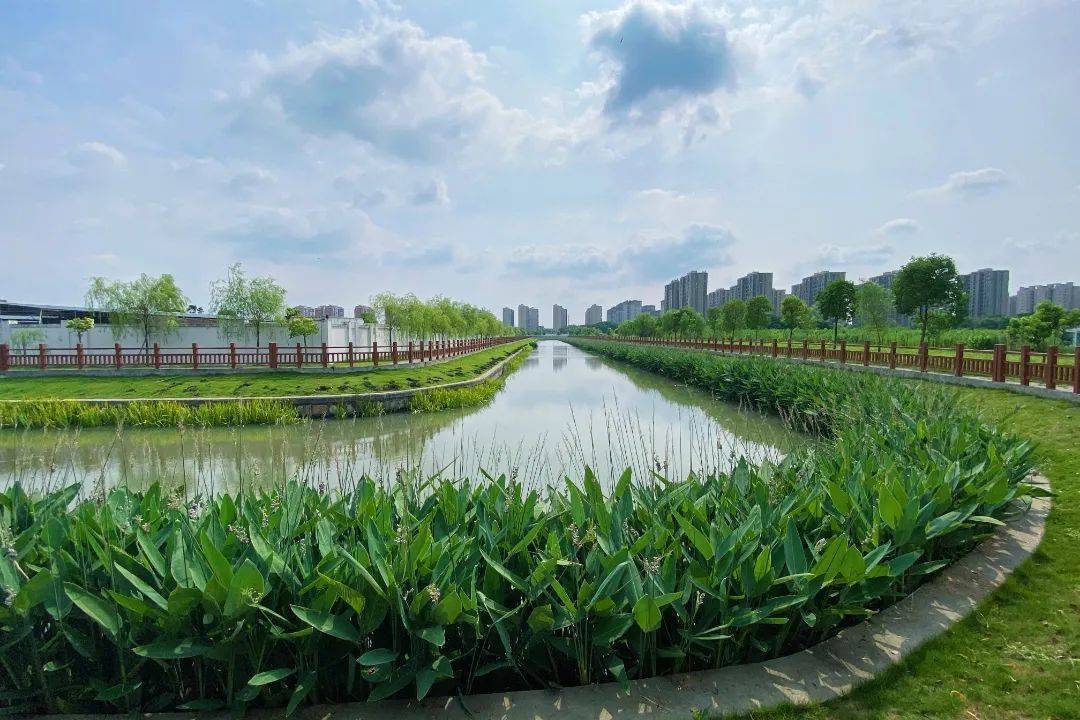 不要再宅家了！来宝山沿河休闲步道，步步皆风景