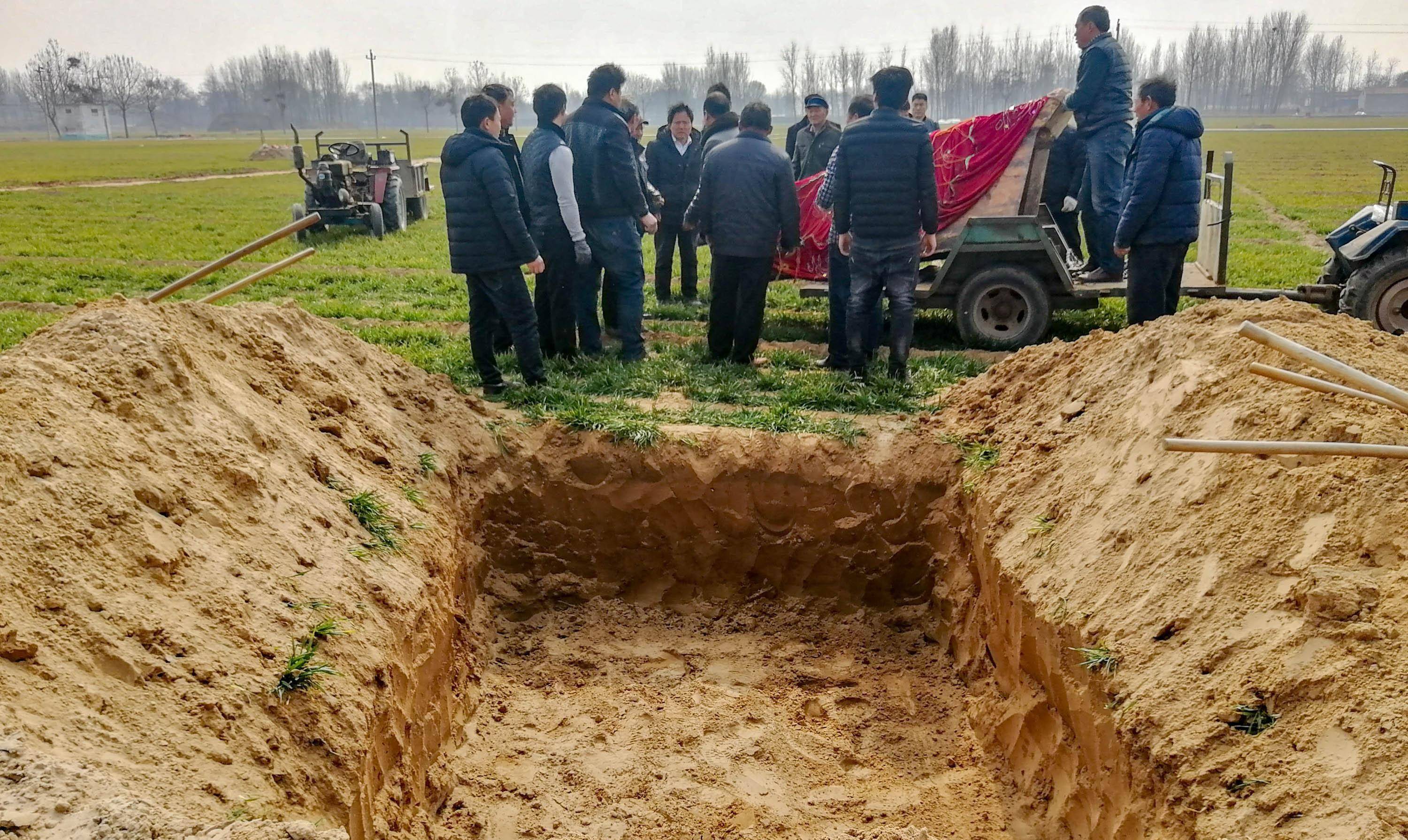 原创北大教授呼吁恢复土葬火葬把人当垃圾处理对死者极不尊重