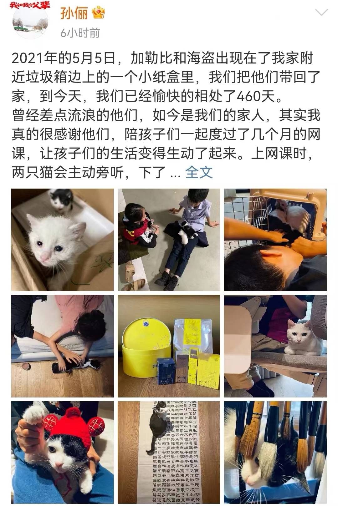 孙俪晒孩子和猫咪相处日常，猫咪是去年捡的，网友夸她人美心善_手机搜狐网