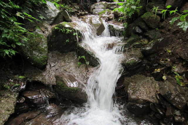 更是以竹為代表形成了竹林的景緻;有水景的建造,欲還原一個與自然相仿