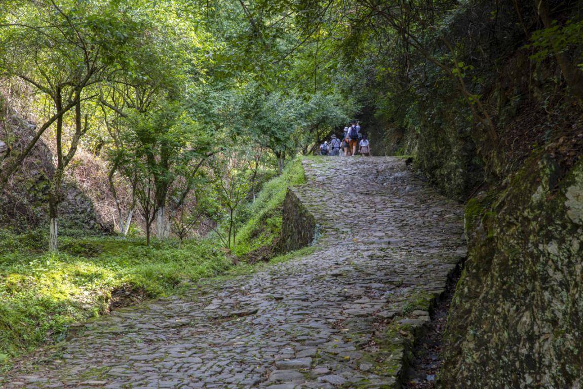 长坡岭古驿道图片