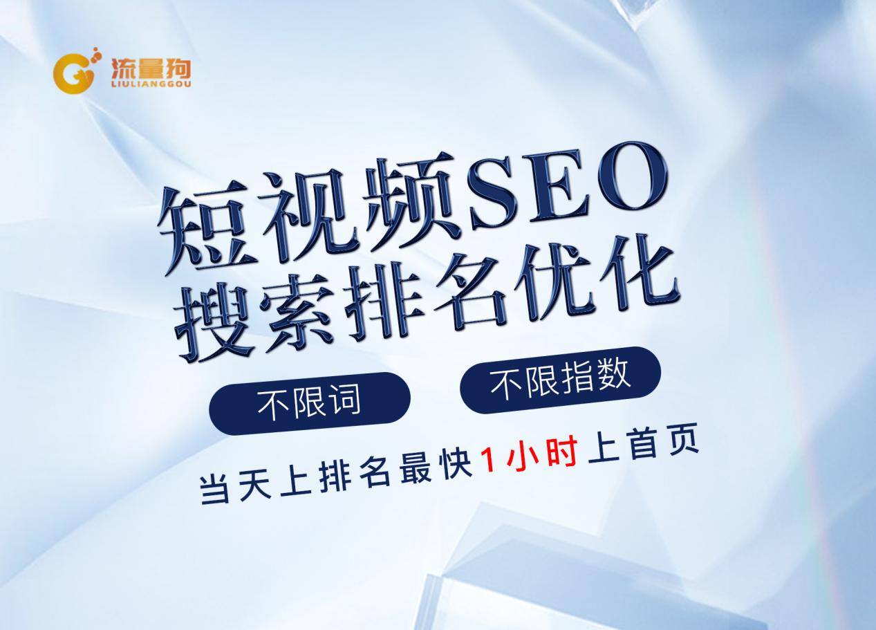 流量狗北京抖音seo搜索排名系统私域变现