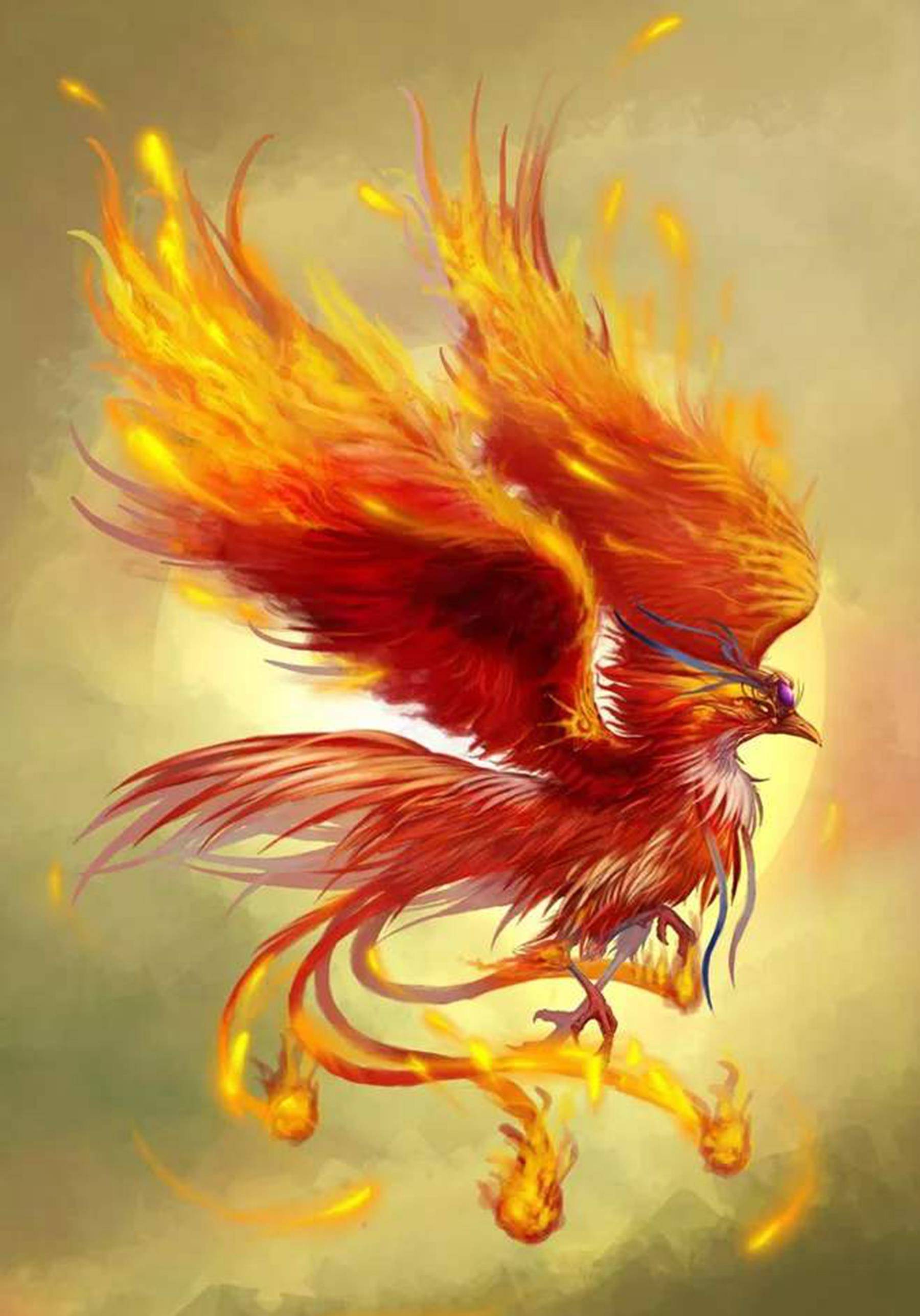 上古神话中,后羿射下的9只金乌去哪了?