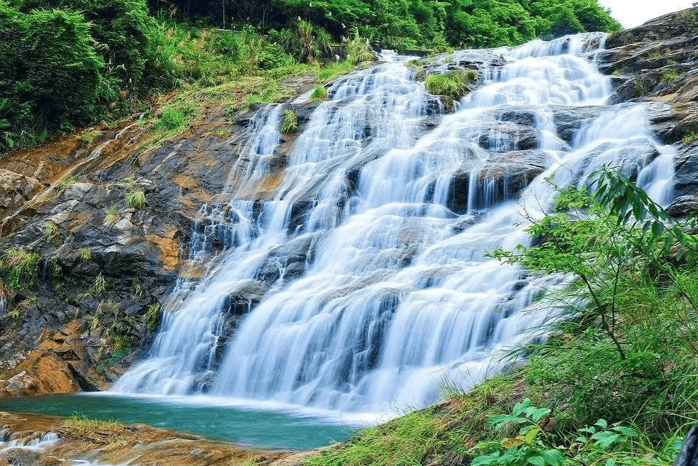 深圳松子坑森林公园图片