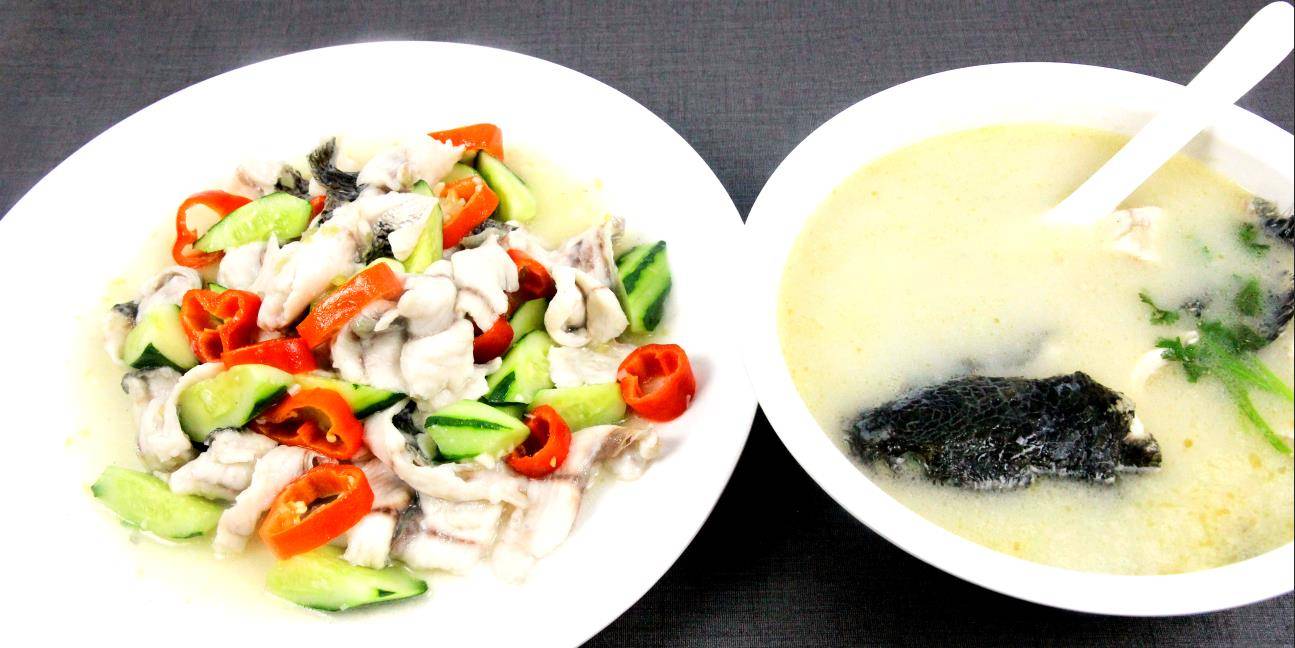 更丰富的吃法!巧用黑鱼,家常做法超美味的1鱼2吃_鱼片_鱼肉_黄瓜